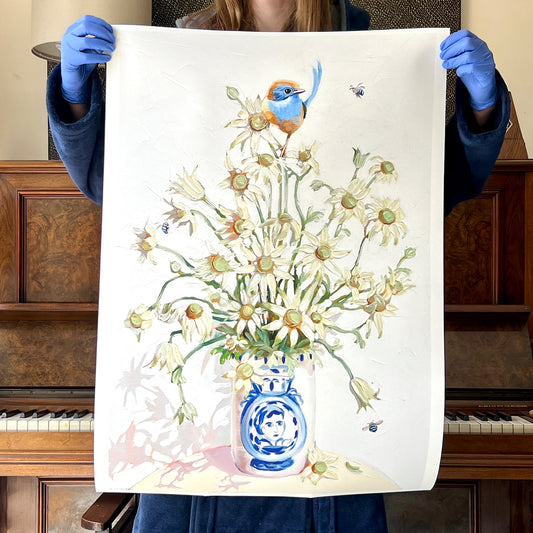 Blue wren with flannel flowers; limited edition print available in two sizes, A1 & A2 (sold unframed)