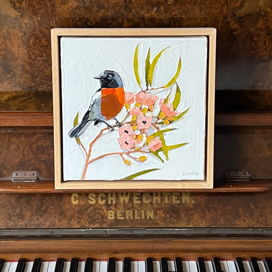 Red breast, pink blossom