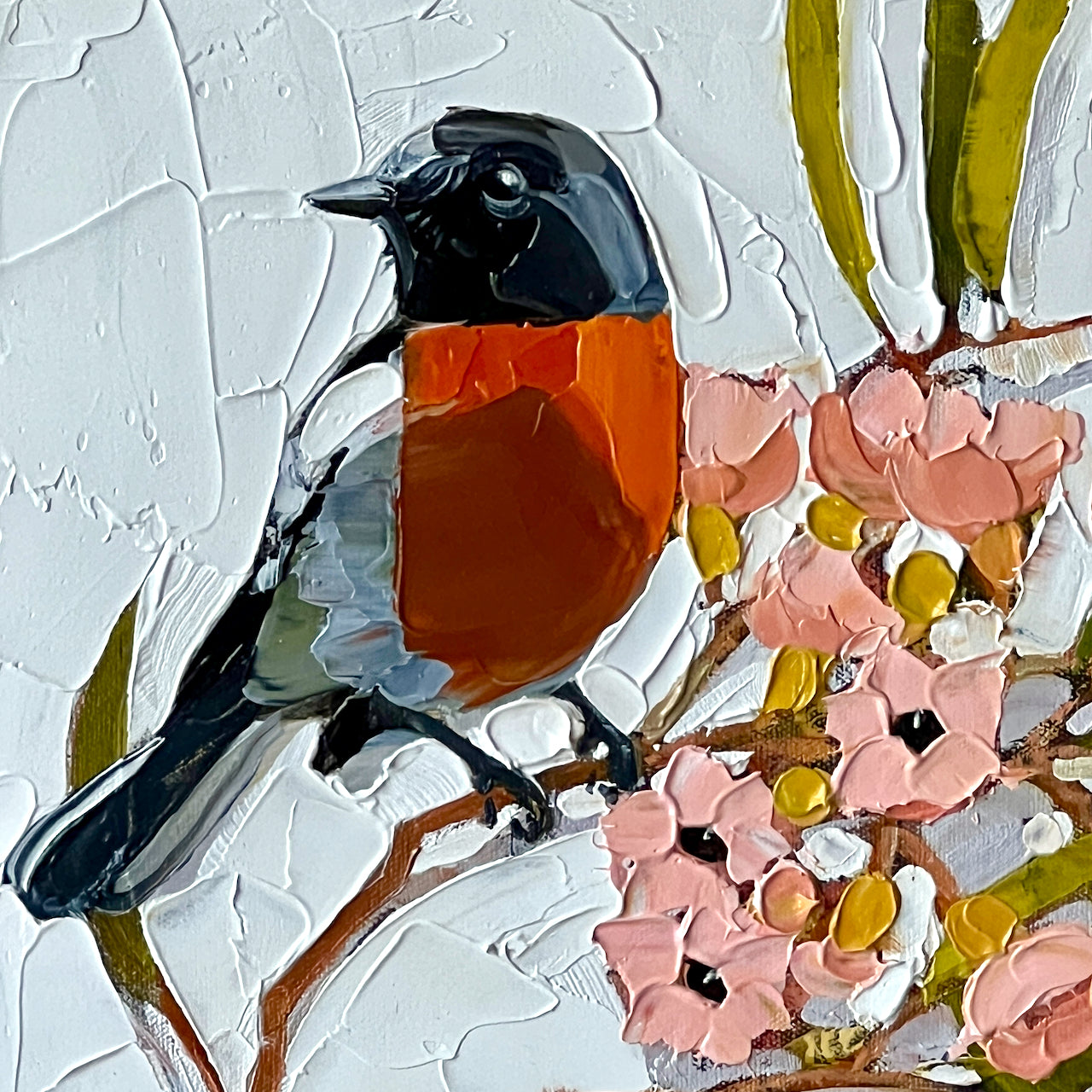 Red breast, pink blossom