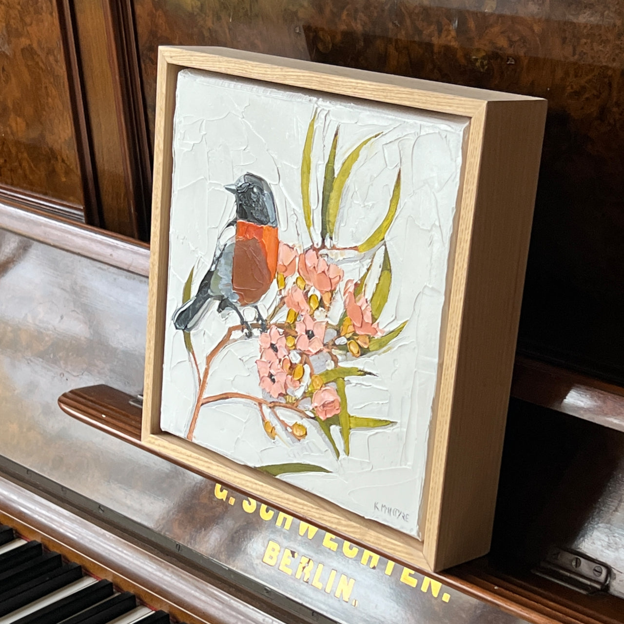 Red breast, pink blossom