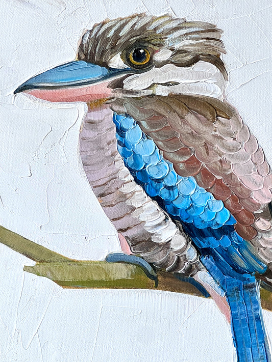 Blue winged kookaburra II