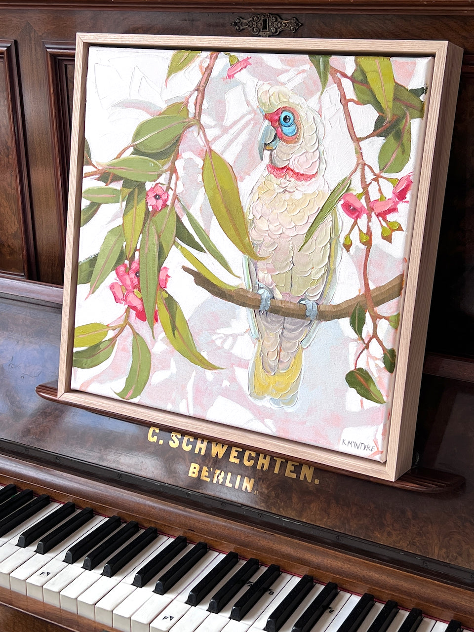 Corella in pink