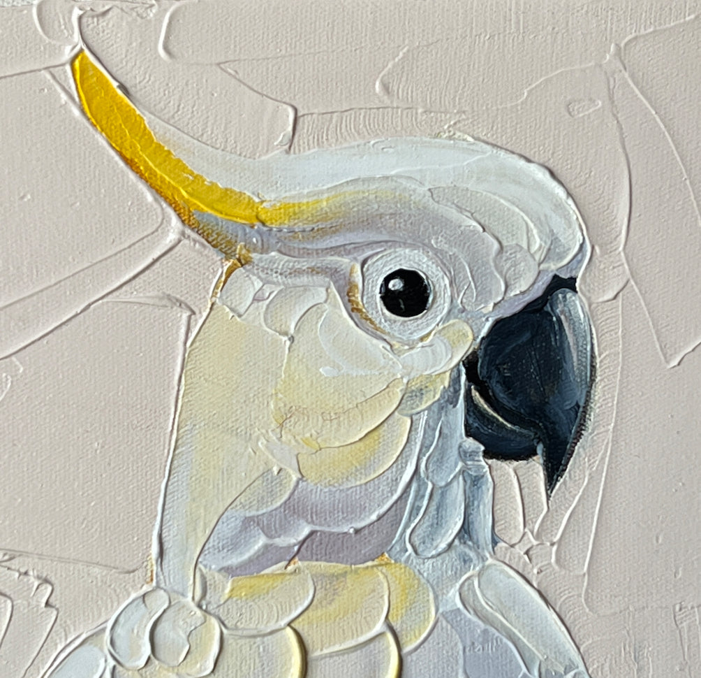 Close-up of a cockatoo with a textured beige background