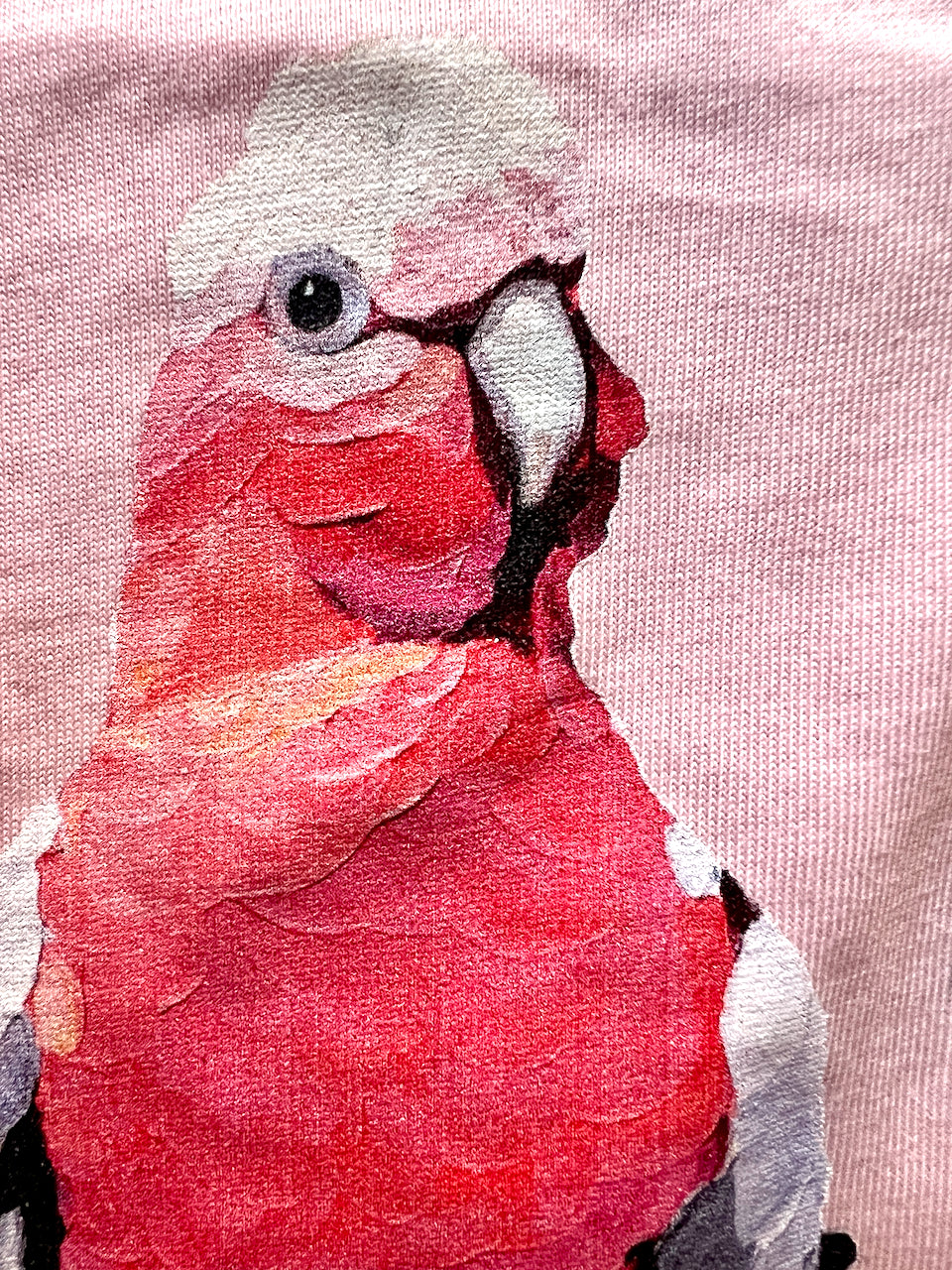 "Absolute galah" unisex/mens staple tee