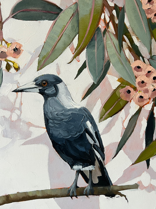 Gum blossom Magpie