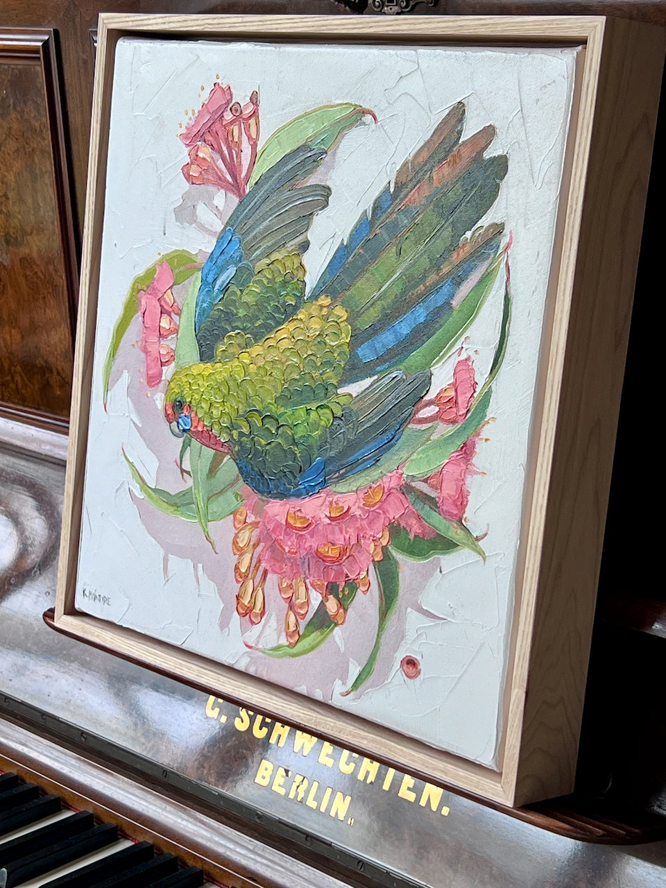 Peace rosella