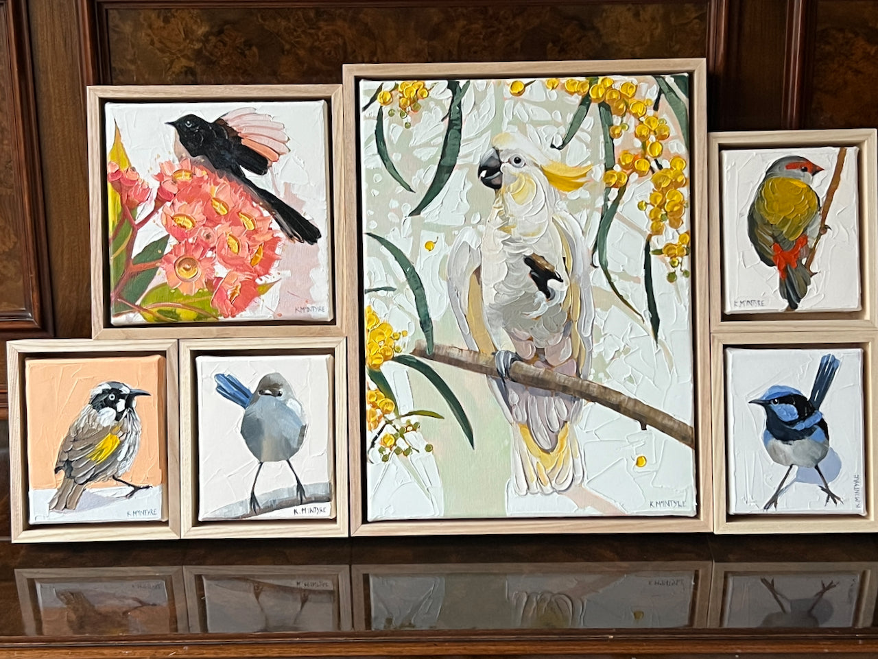 Cocky in the wattle tree (Reserved for Andrew)