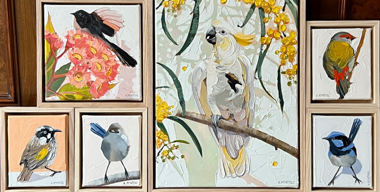 Willy wagtail with pink blossom