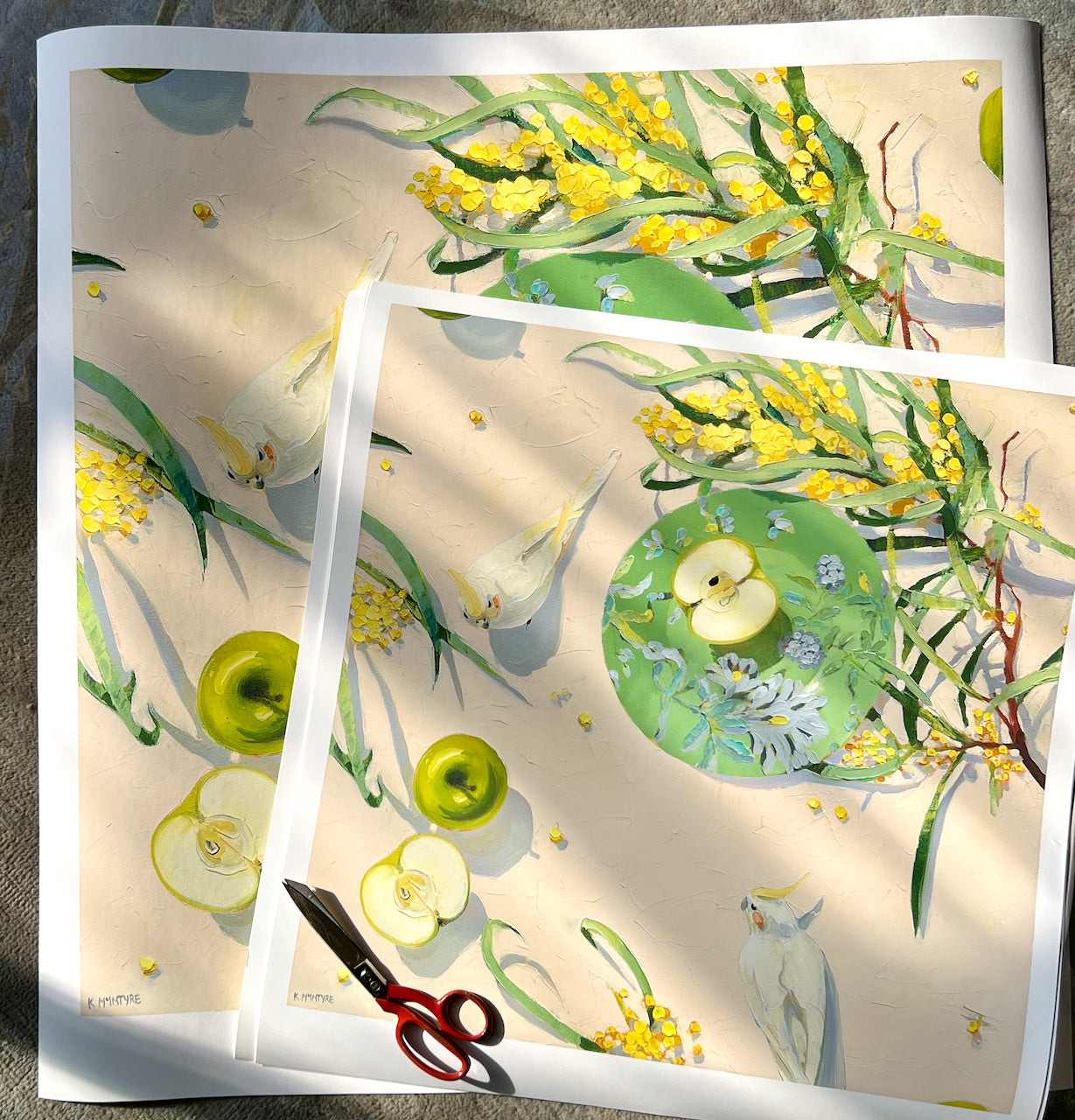 Apples, wattle and cockatiels- Giclee print limited edition of 20 available in two sizes