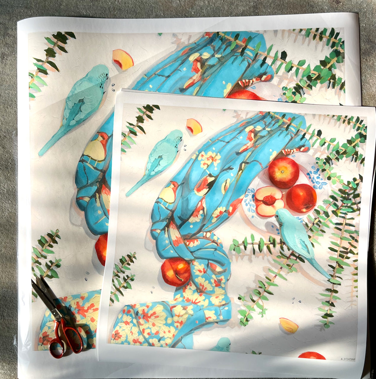 Budgies and spinning gum- Giclee print limited edition of 20 available in two sizes