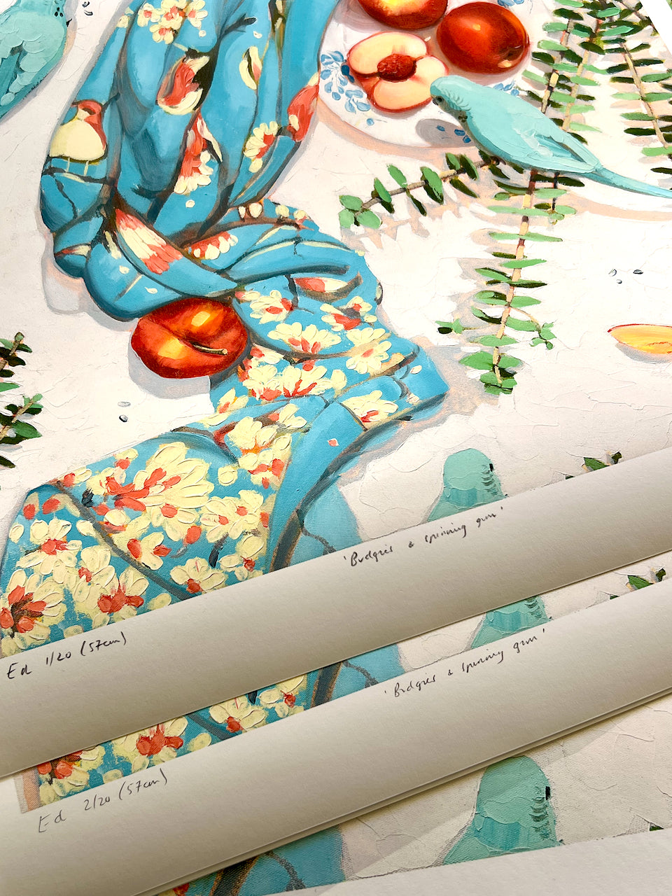 Budgies and spinning gum- Giclee print limited edition of 20 available in two sizes