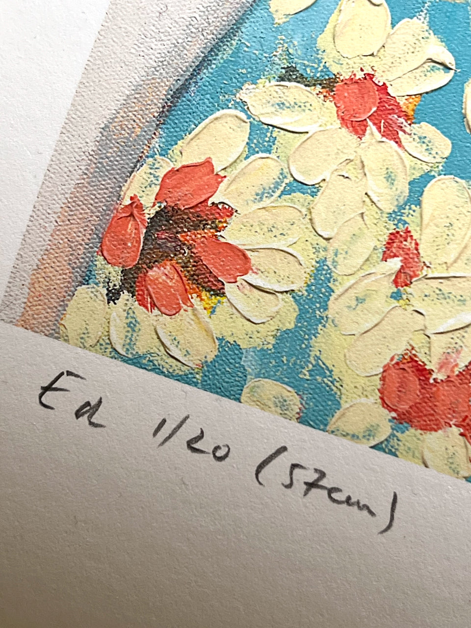 Budgies and spinning gum- Giclee print limited edition of 20 available in two sizes