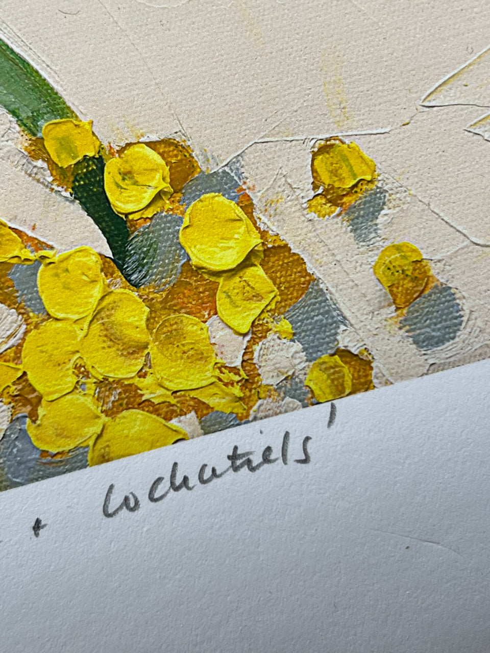 Apples, wattle and cockatiels- Giclee print limited edition of 20 available in two sizes