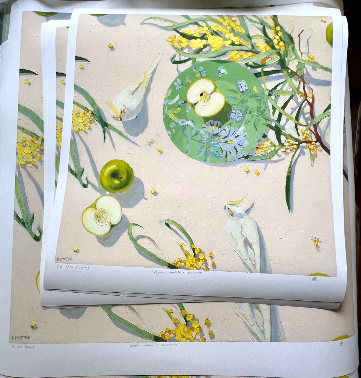 Apples, wattle and cockatiels- Giclee print limited edition of 20 available in two sizes