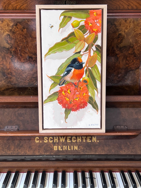 Red capped robin, scarlet blossom.