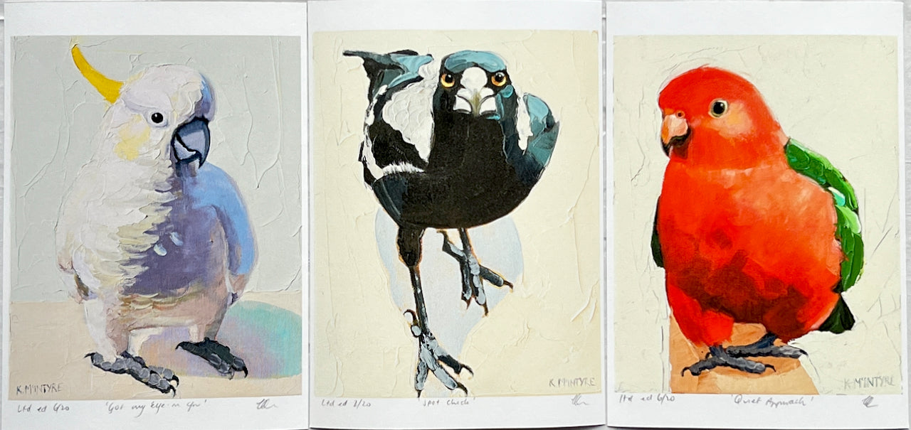 Individual bird portraits- Giclee prints limited edition of 20 each available