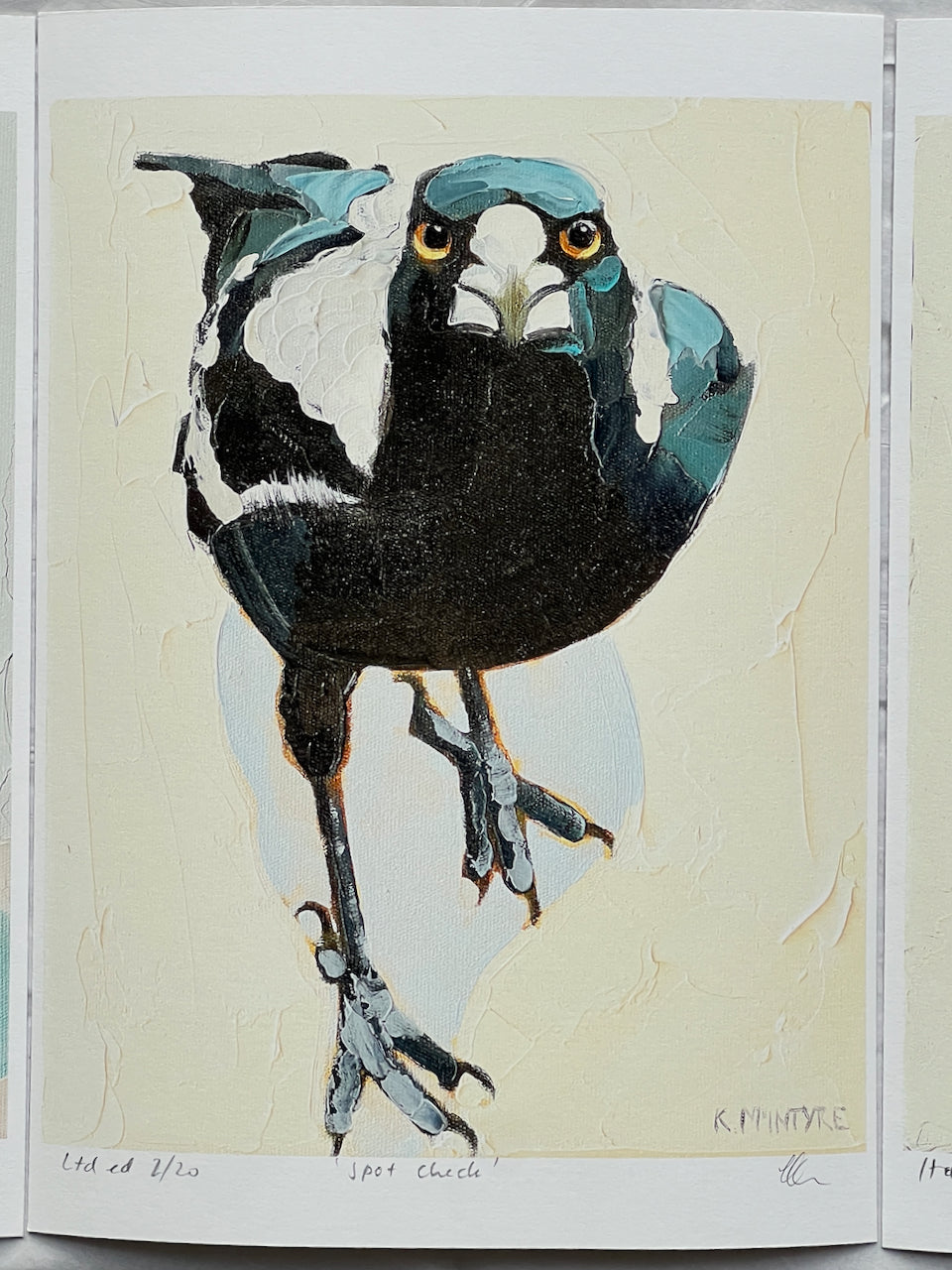 Individual bird portraits- Giclee prints limited edition of 20 each available