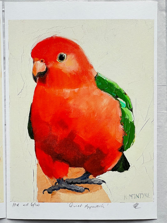 Individual bird portraits- Giclee prints limited edition of 20 each available