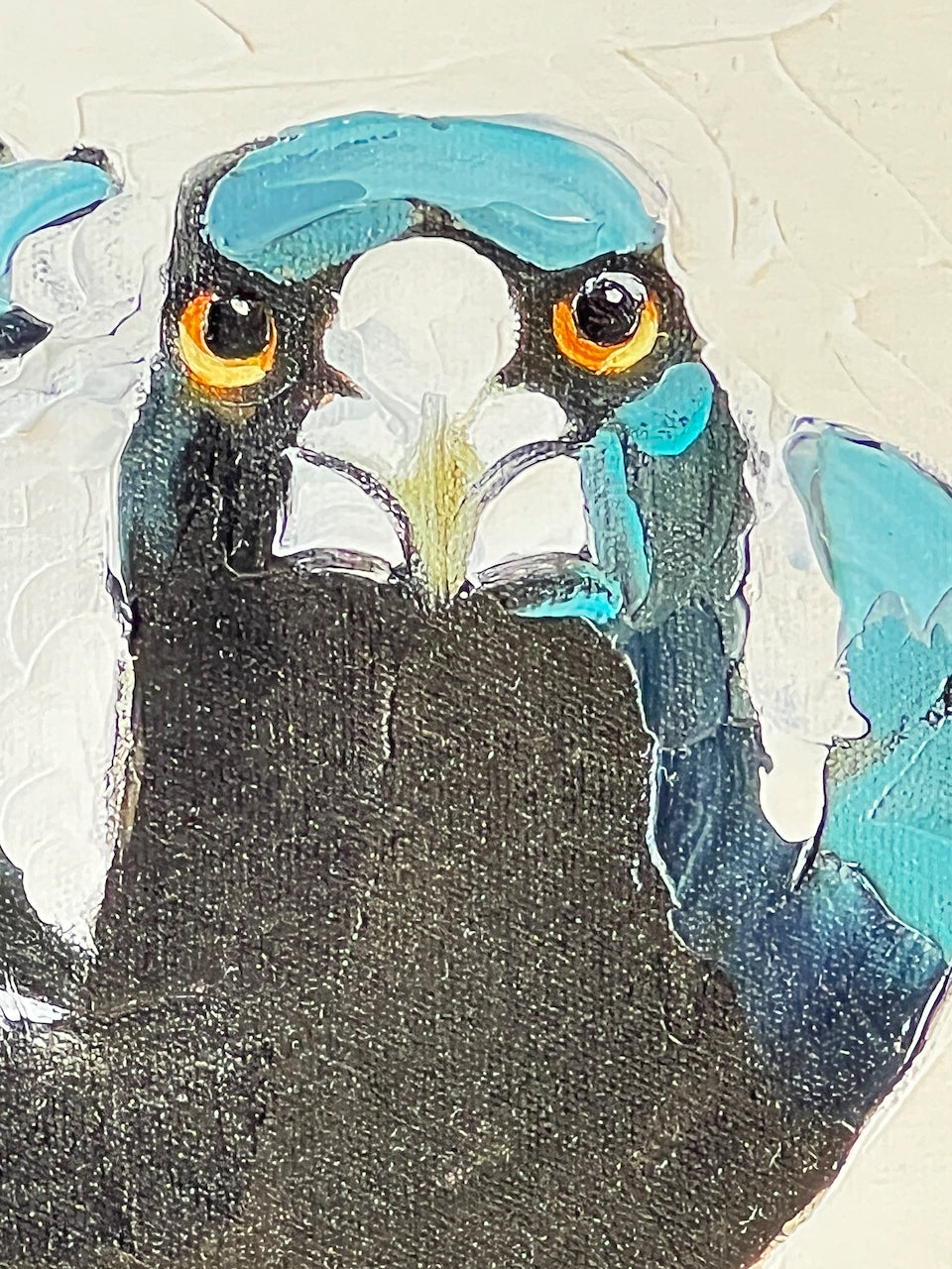 Individual bird portraits- Giclee prints limited edition of 20 each available