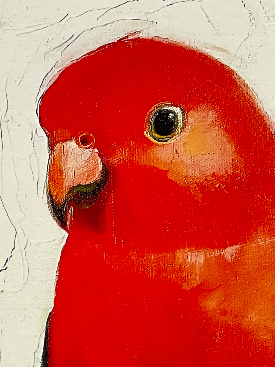 Individual bird portraits- Giclee prints limited edition of 20 each available