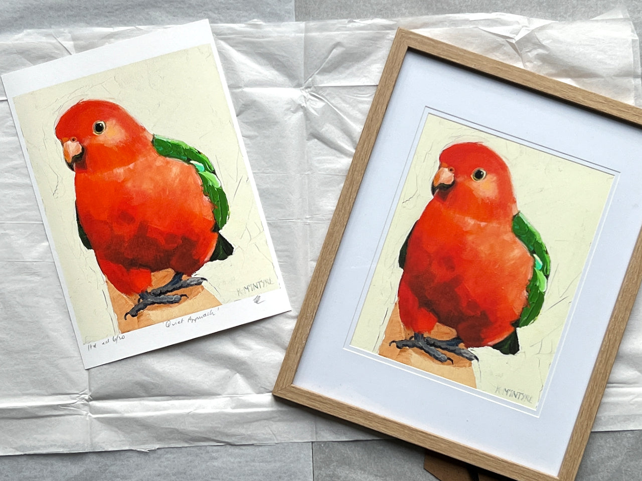 Individual bird portraits- Giclee prints limited edition of 20 each available