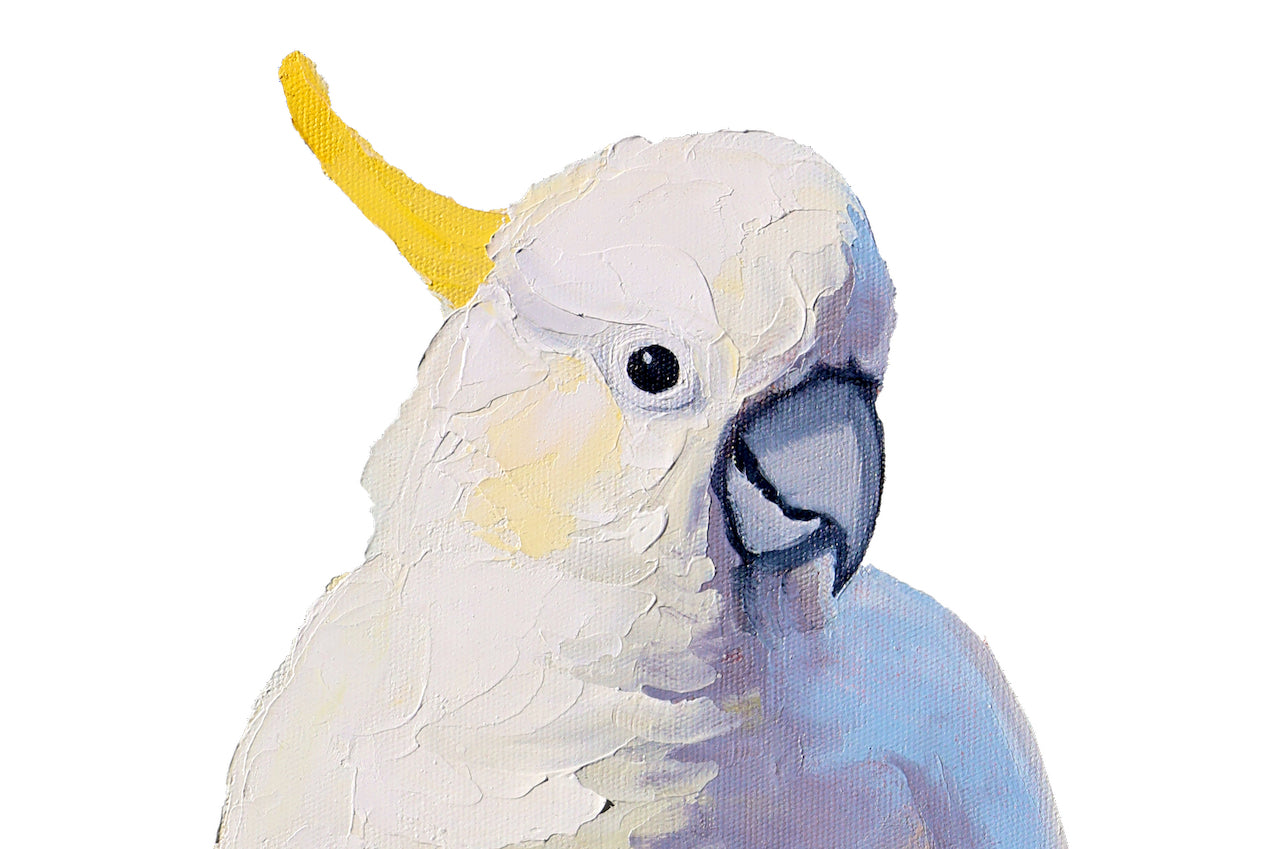 australian cocky cockatoo native bird original native bird art by kirsty mcintyre available on tshirts tote bag