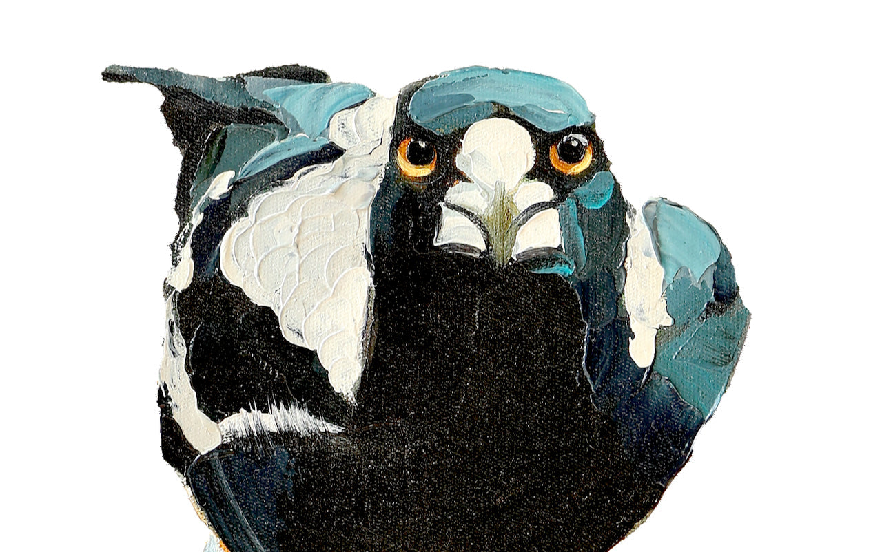 fierce magpie design by kirsty mcintyre australian artist bird native available on t-shirts and tote bags