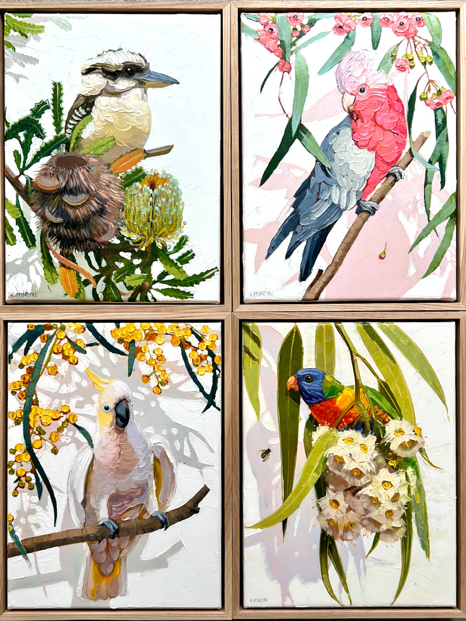 Australian birds- set of four 33x43cm original oils