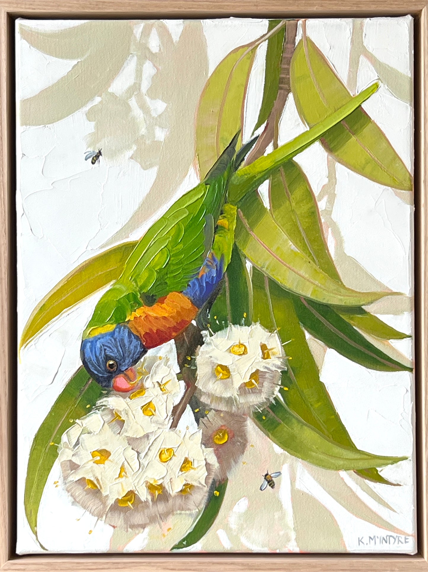 Rainbow lorikeet with white gum