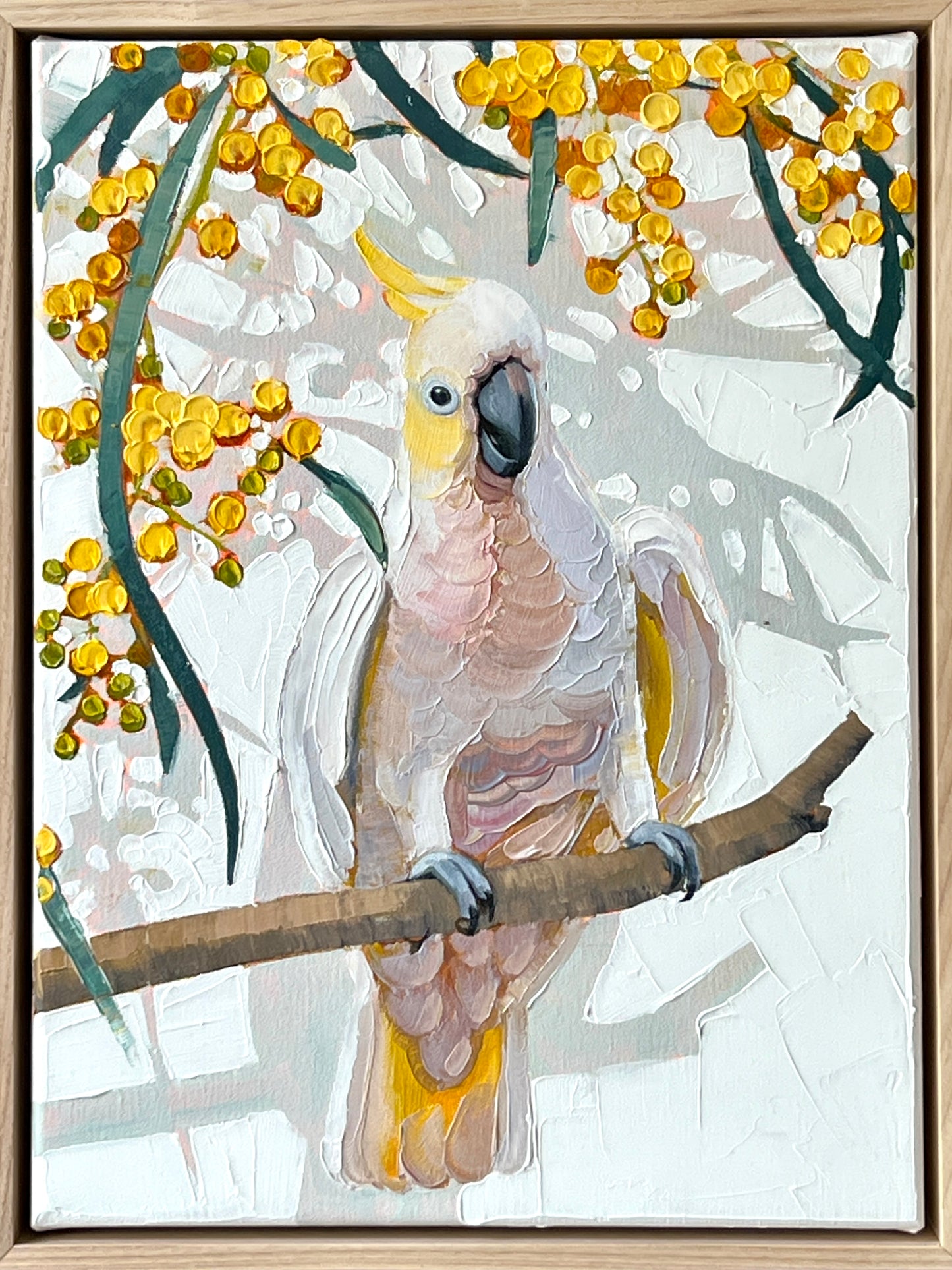 Australian birds- set of four 33x43cm original oils