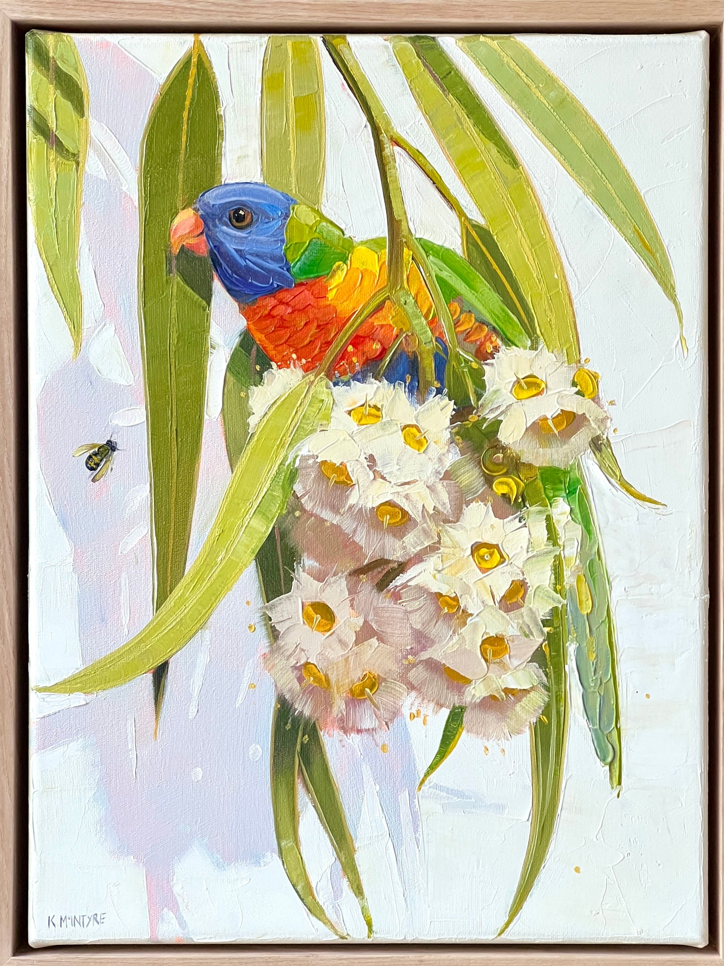 Australian birds- set of four 33x43cm original oils