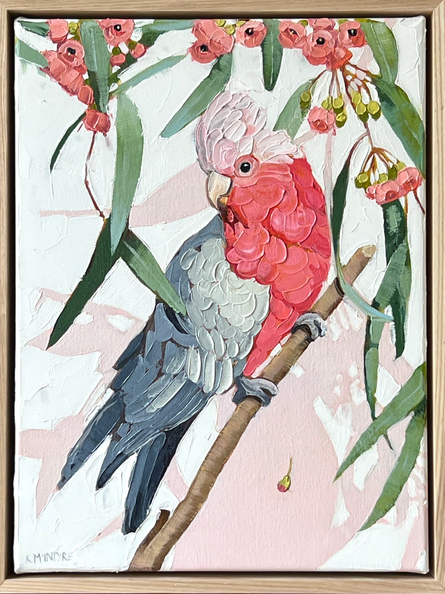 Australian birds- set of four 33x43cm original oils