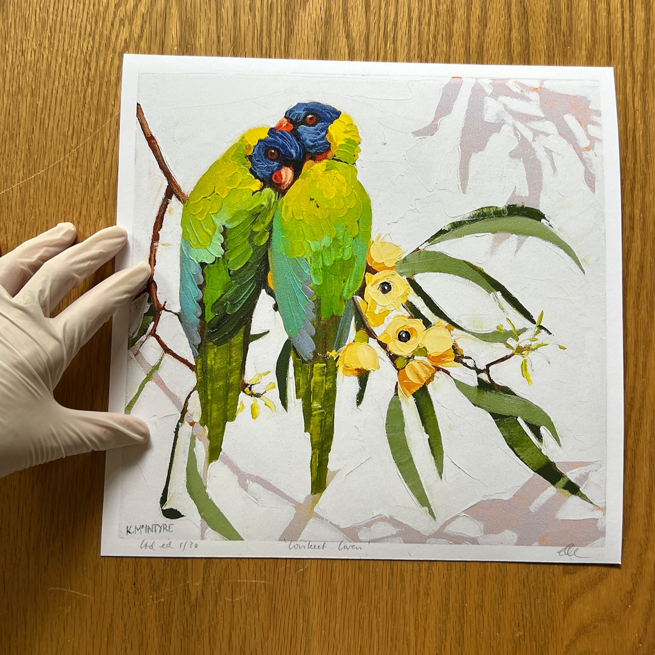Lorikeet lovers; two sizes; 30  and 45cm limited edition prints on paper. Unframed.