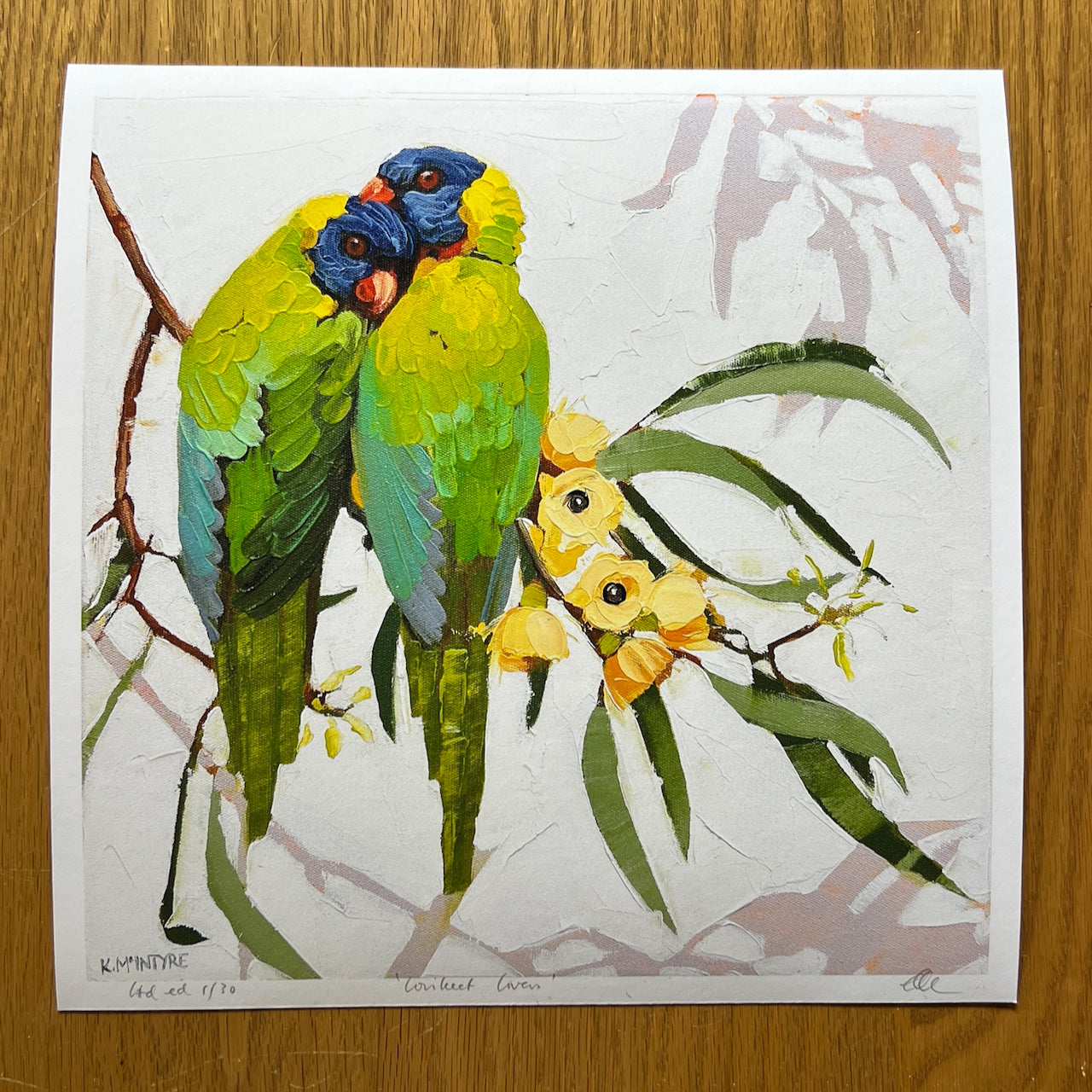 Colorful parrot painting on a white backgroundriginal rainbow lorikeet design by Australian artist, Kirsty McIntyre available as a giclee reproduction print