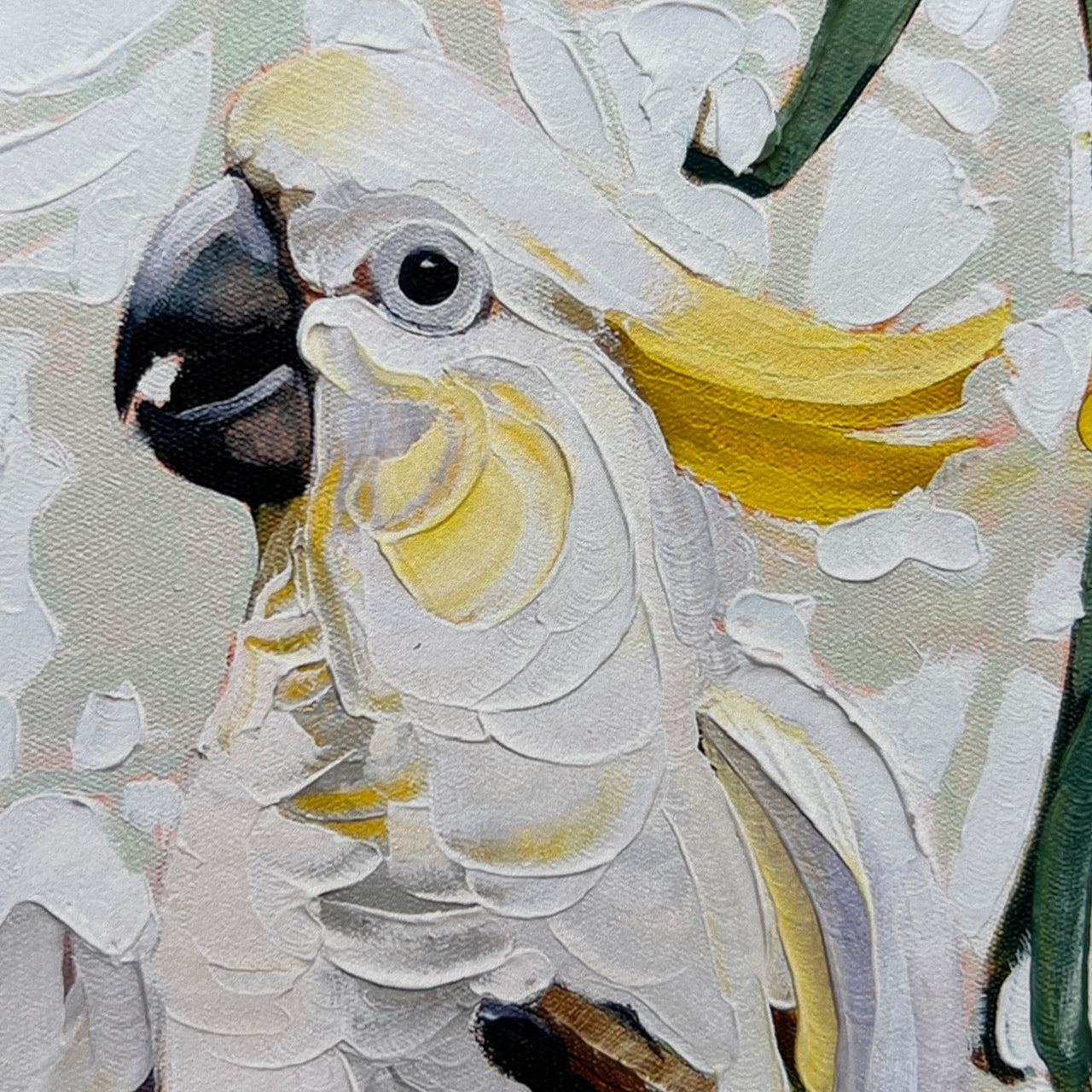 Cocky in the wattle tree (ltd ed A3 print) Unframed.