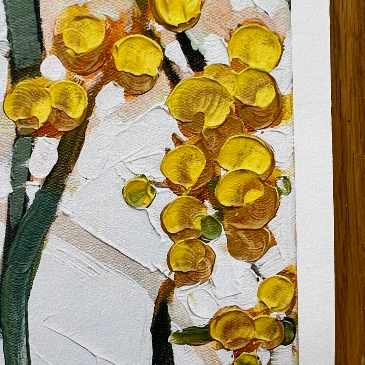 Cocky in the wattle tree (ltd ed A3 print) Unframed.