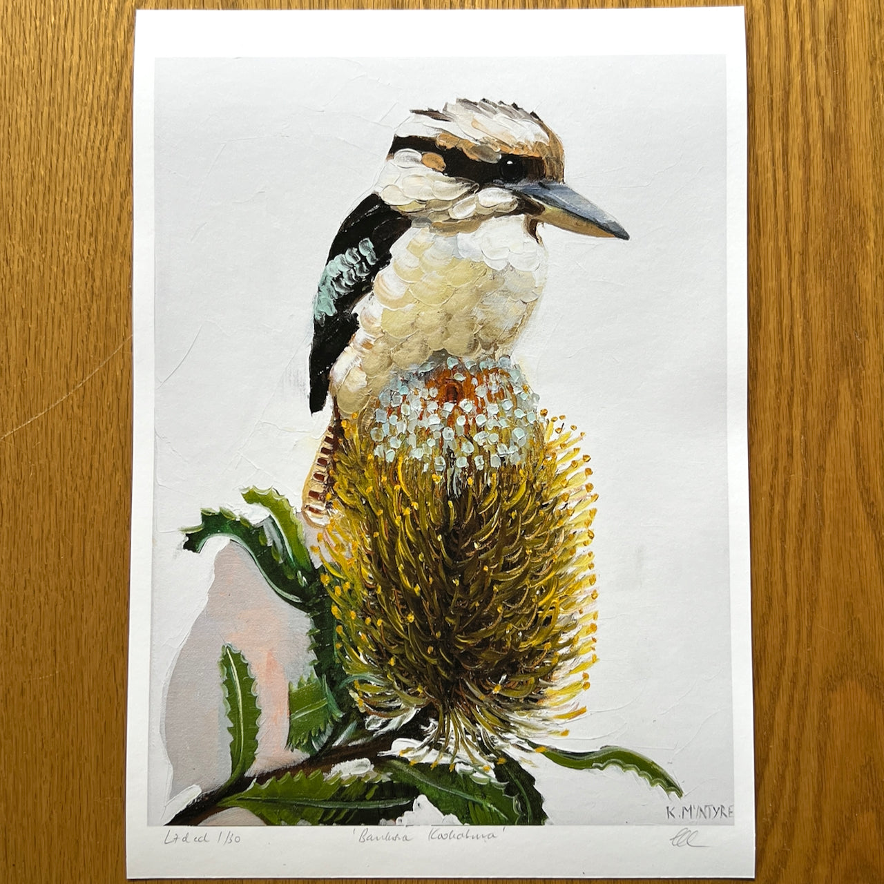 Banksia kookaburra (Ltd ed A3 print) Unframed.