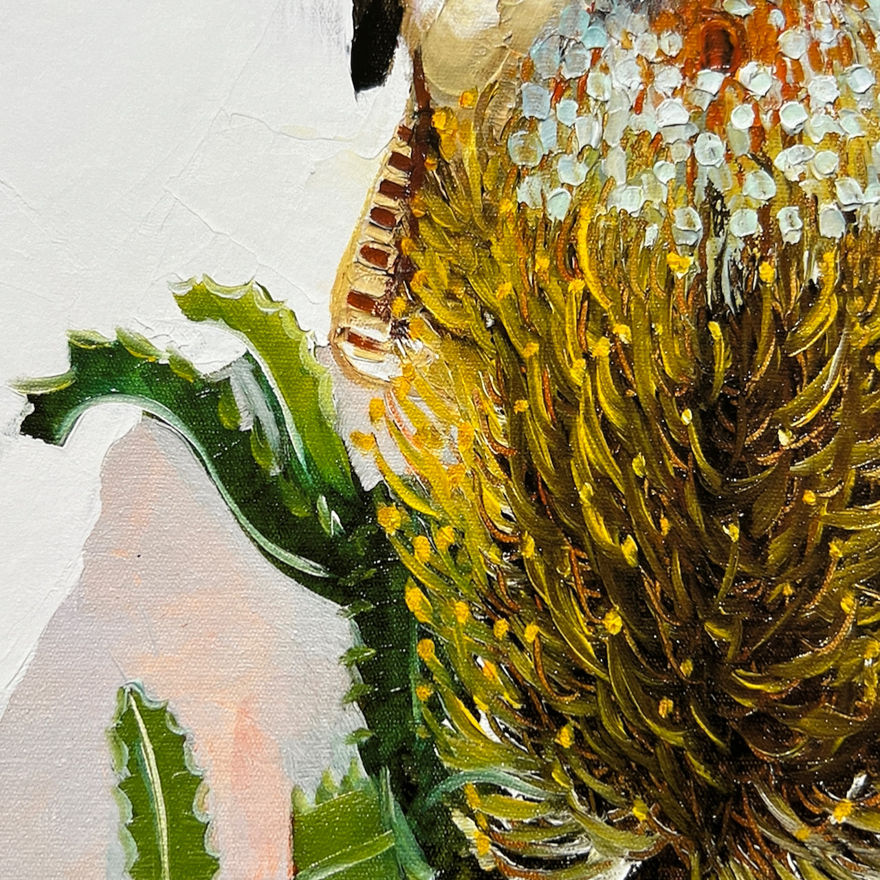 Banksia kookaburra (Ltd ed A3 print) Unframed.