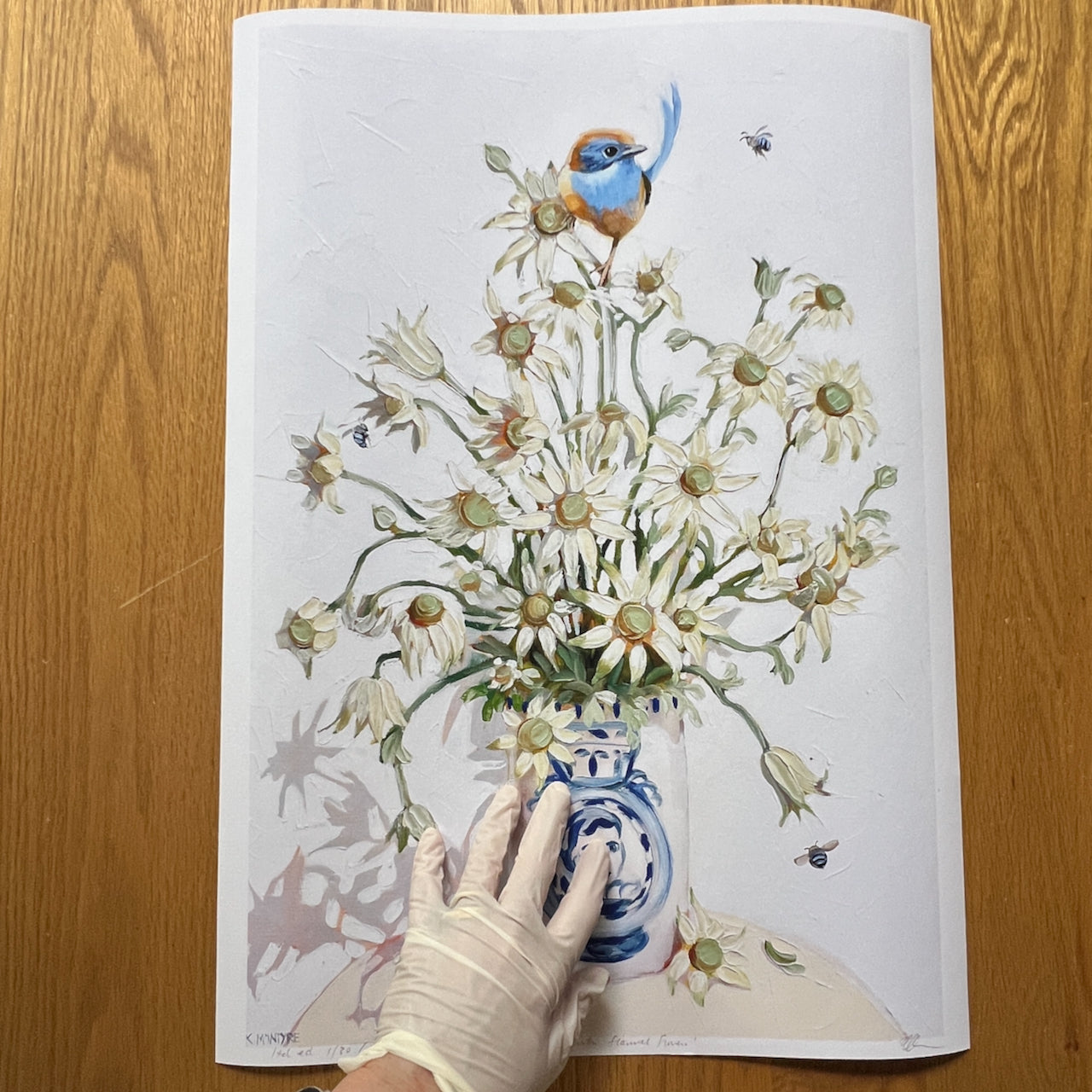 Illustration of a vase with flowers and a bird on a wooden surface original blue wren, emu wren and flannel flower australian bird design in a giclee reproduction print by Australian bird artist, Kirsty Mcintyre