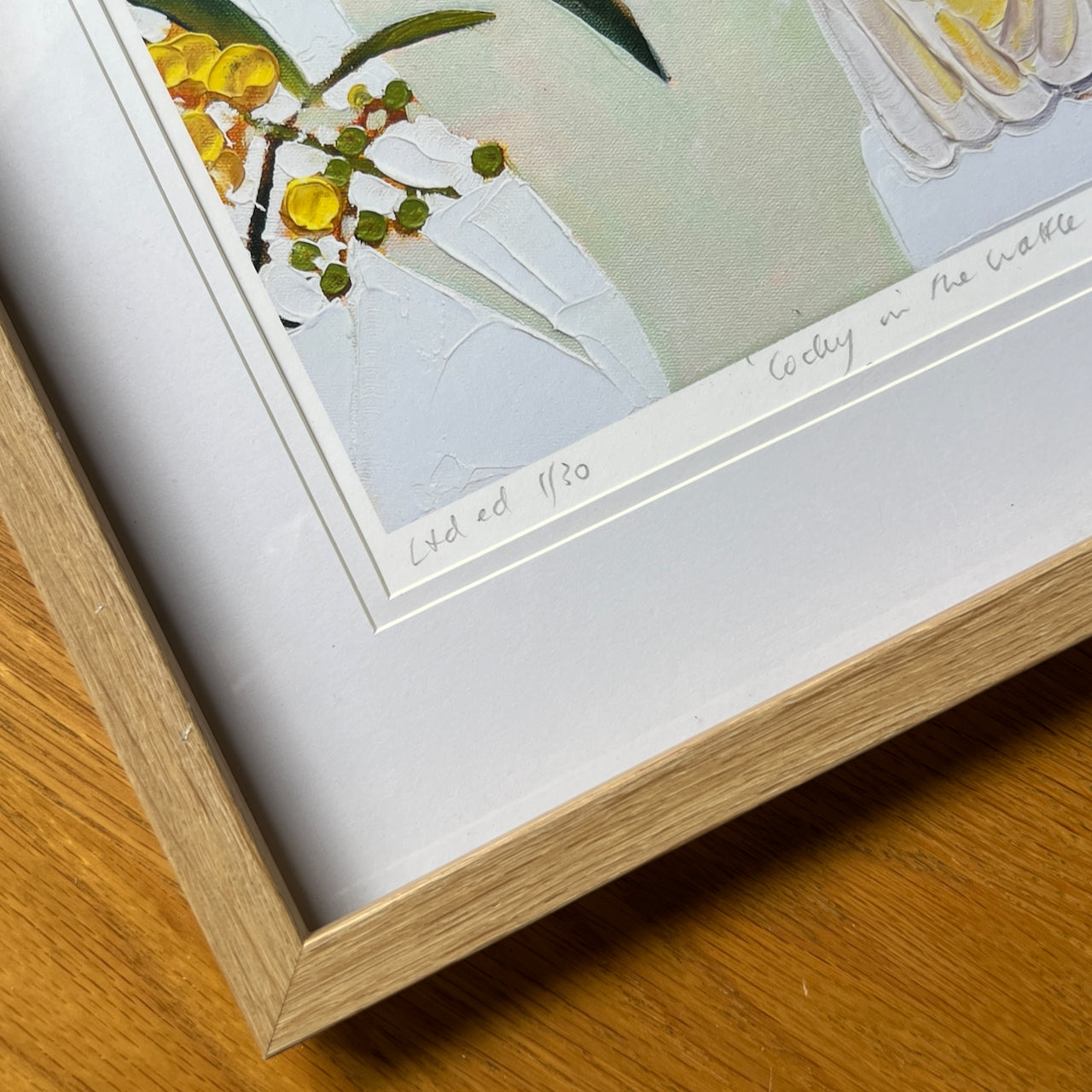 Cocky in the wattle tree (ltd ed A3 print) Unframed.