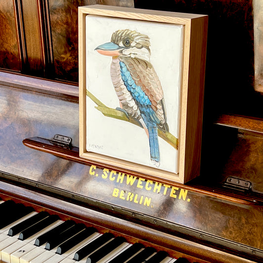 Blue winged kookaburra II