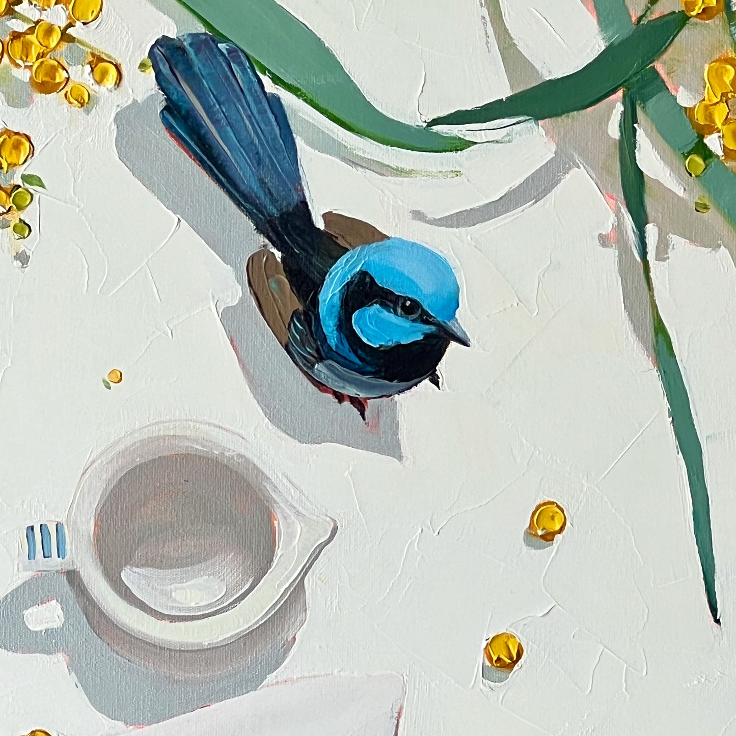 Blue wren party