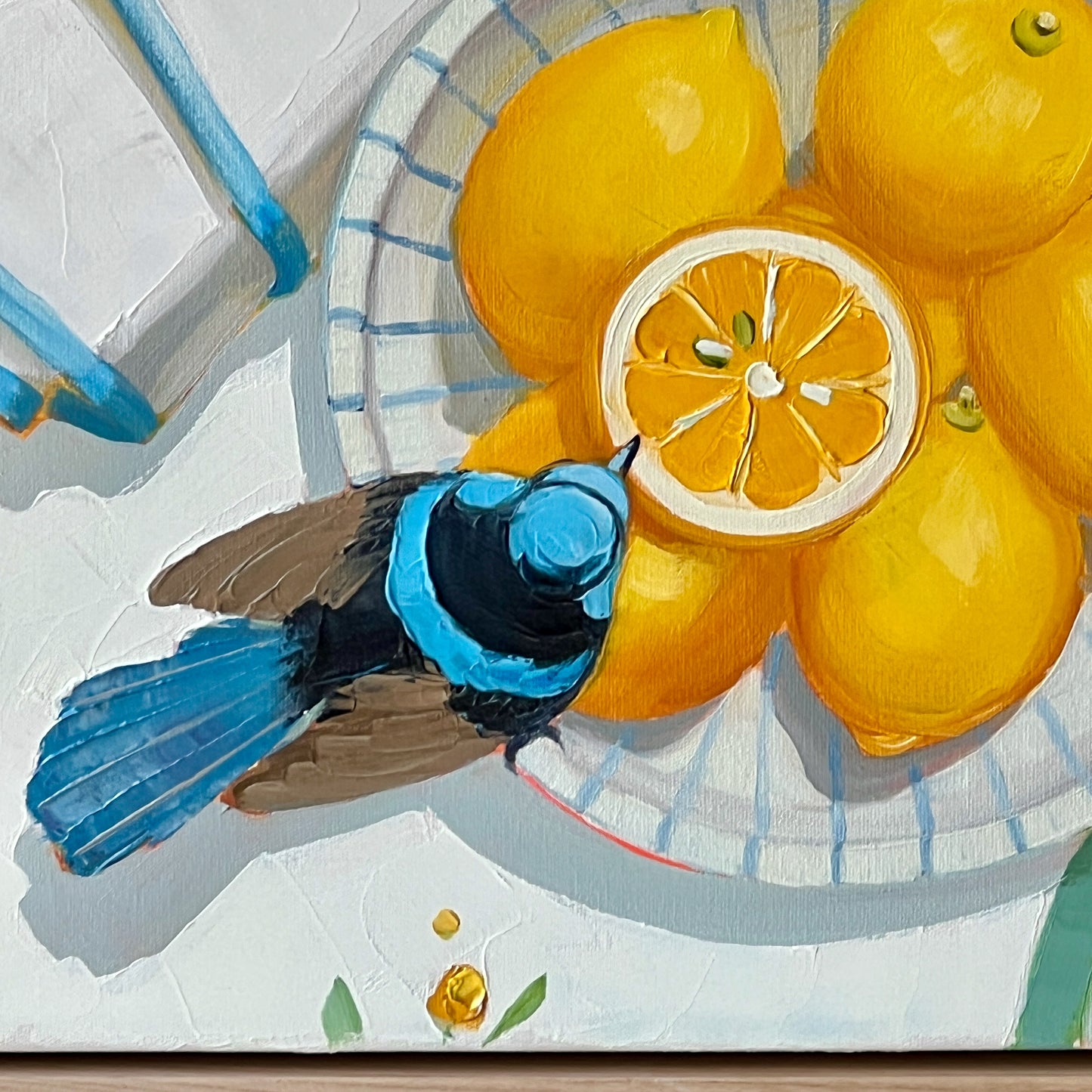 Blue wren party
