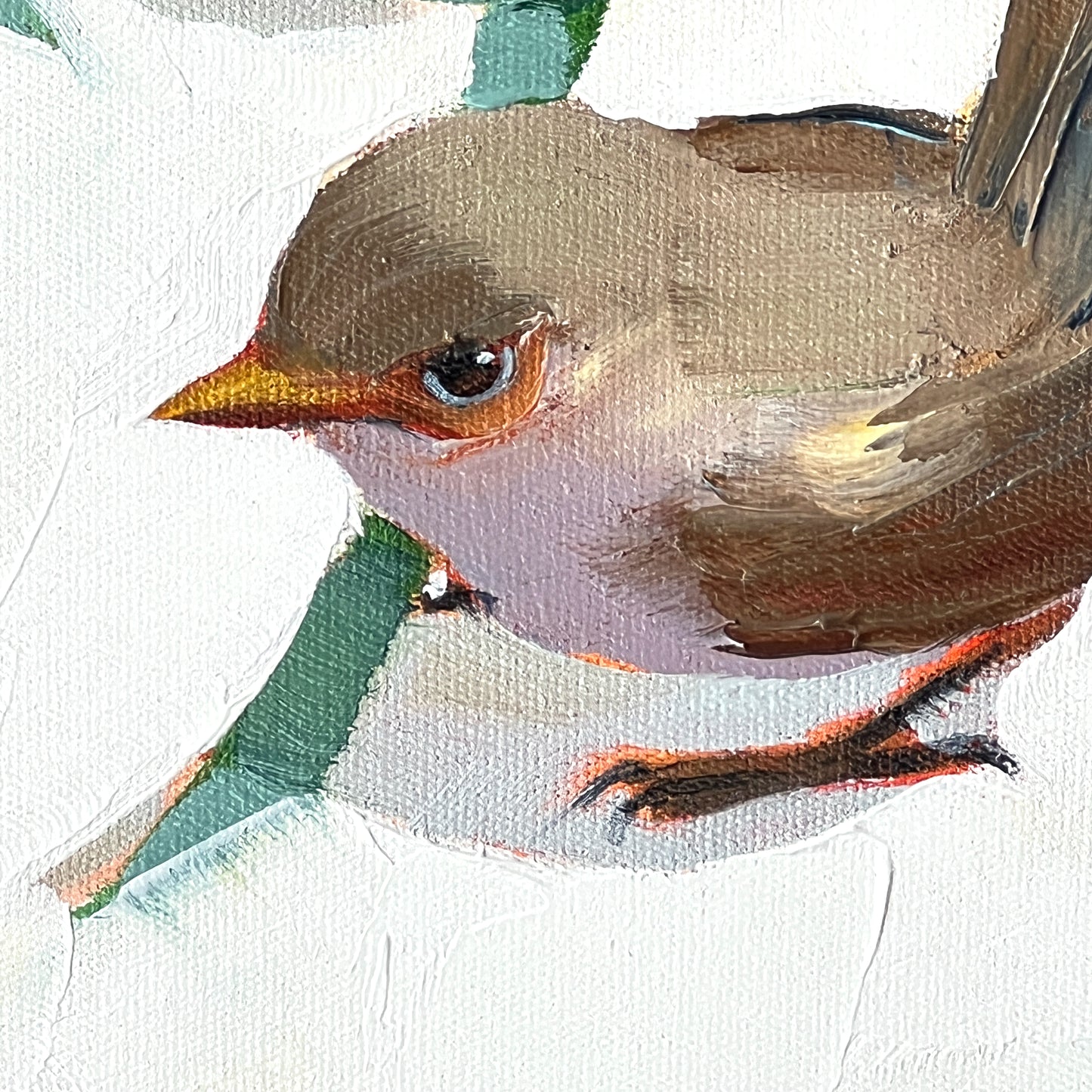 Blue wren party