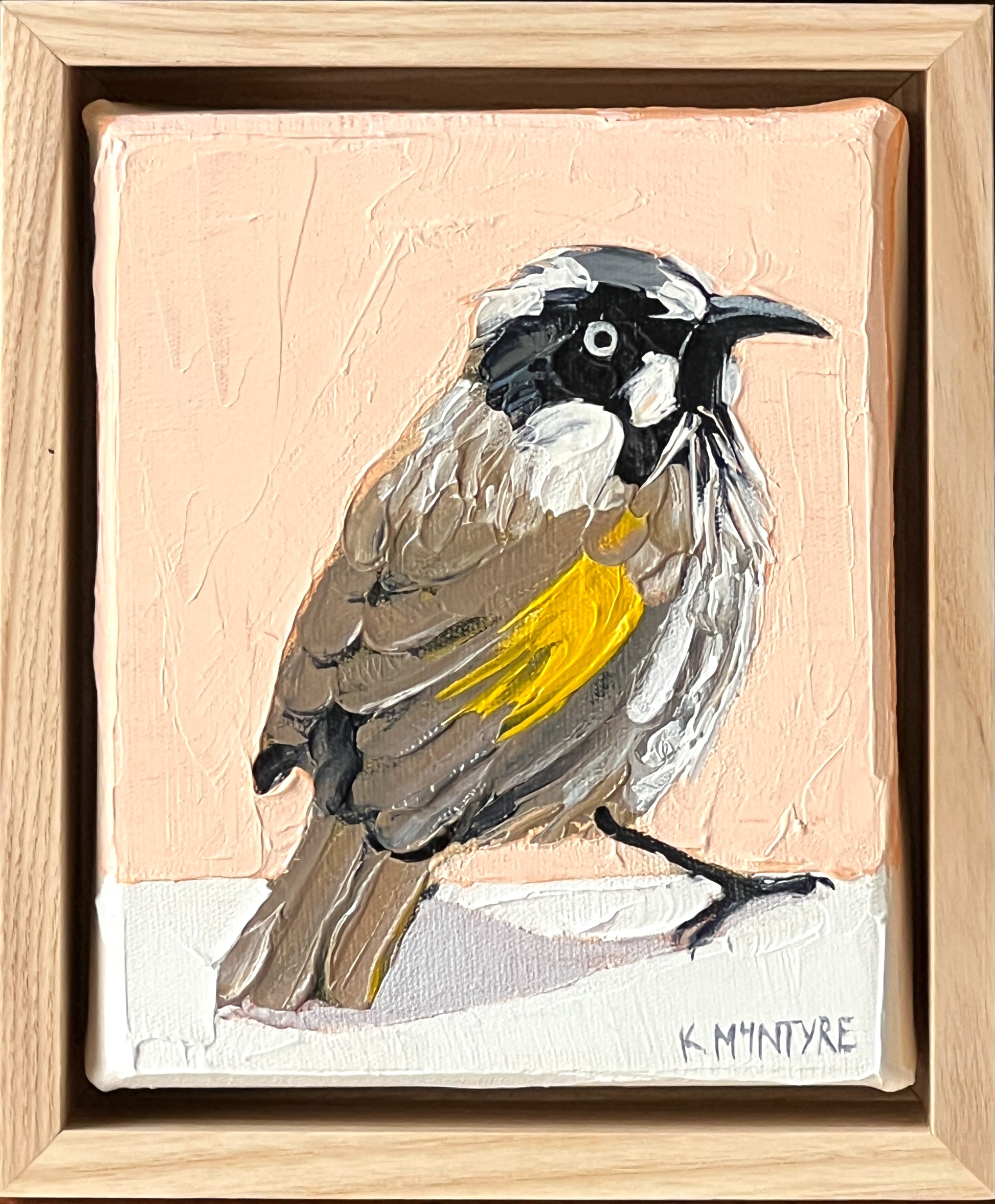 Painting of a bird with a pink background and wooden frame by Kirsty Mcintyre art- new holland honeyeater