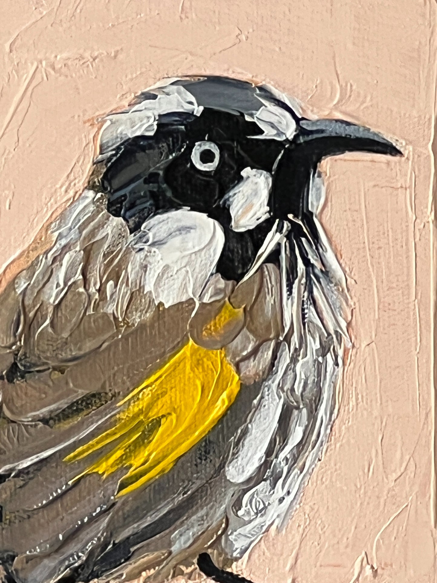 Honeyeater moment