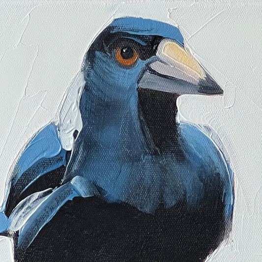 Maggies on a mission