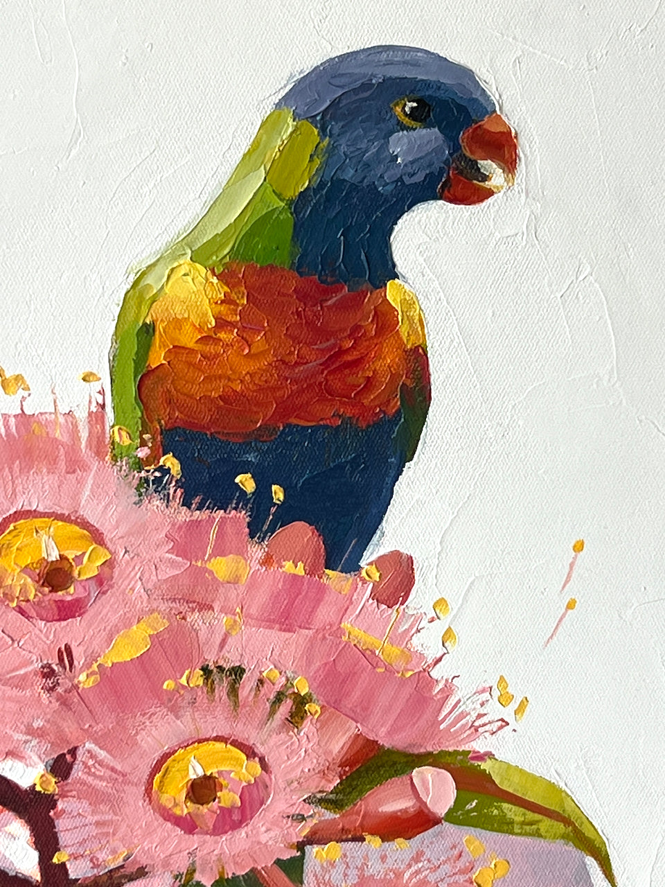 A Riot of Colour
