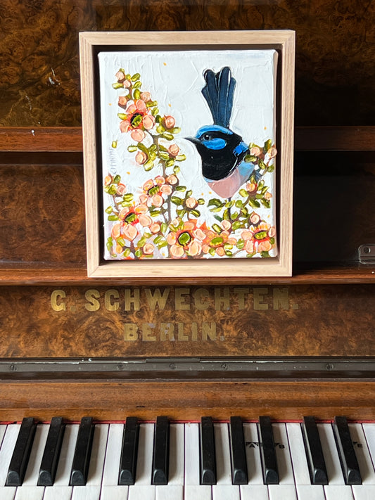 Fairy wren in the teatree