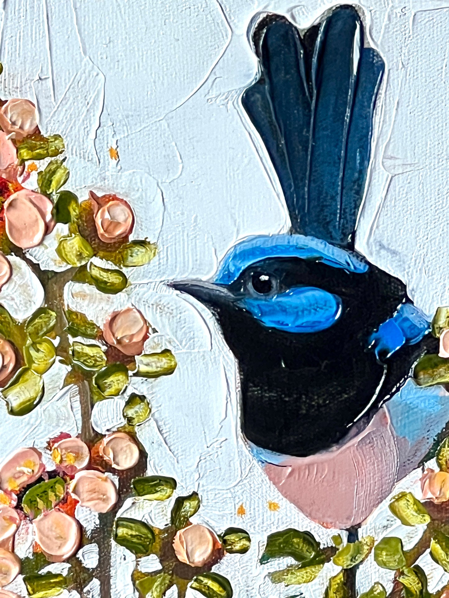 Fairy wren in the teatree